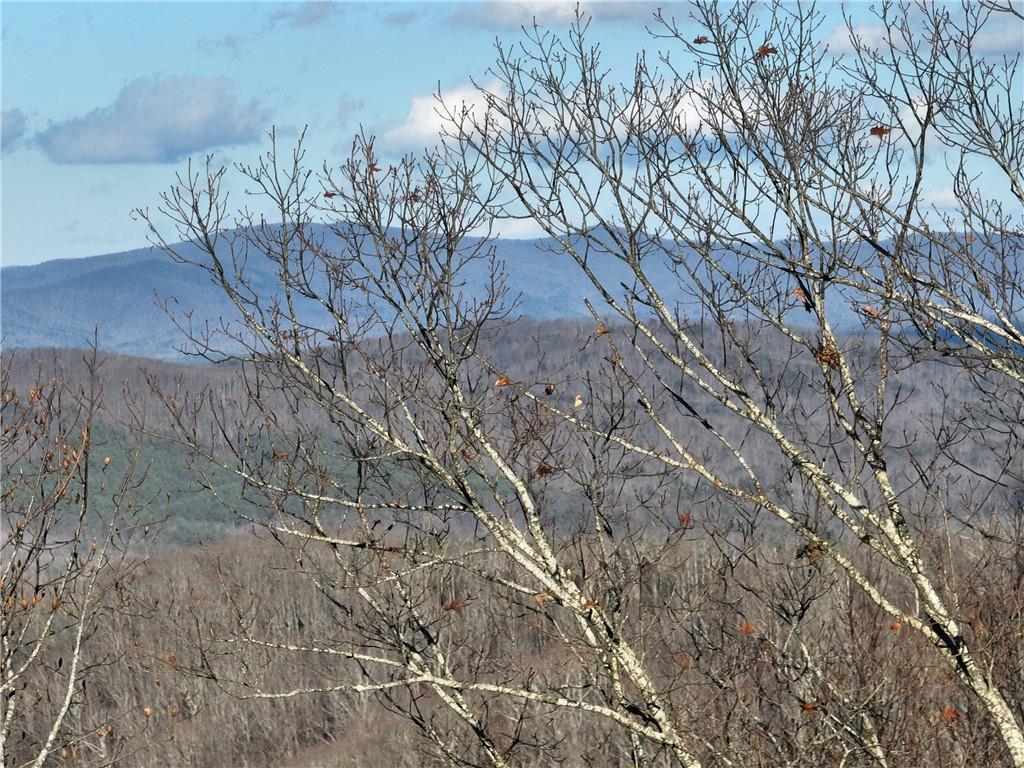 281 Andes Ridge Talking Rock, GA 30175 - Photo 6 of 27 a view of a yard
