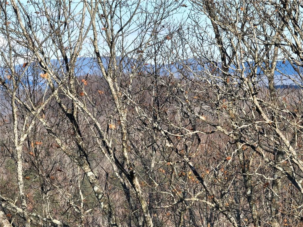 281 Andes Ridge Talking Rock, GA 30175 - Photo 8 of 27