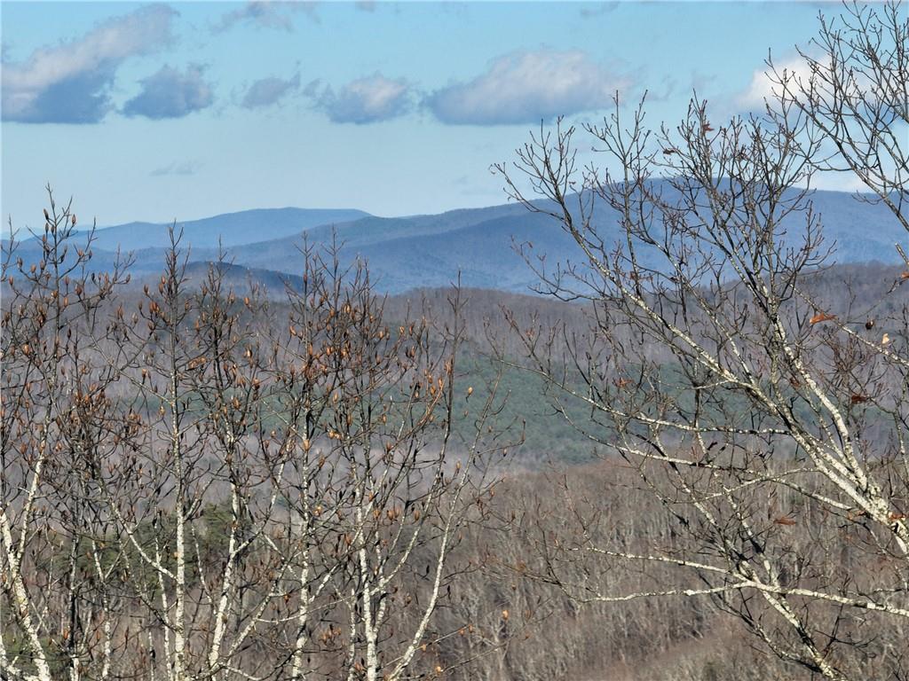 281 Andes Ridge Talking Rock, GA 30175 - Photo 9 of 27 a view of a yard in a forest