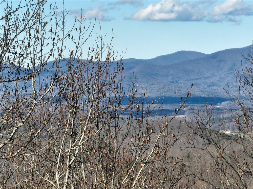 281 Andes Ridge Talking Rock, GA 30175 - Photo 10 of 27 a view of a dry yard with mountains in the background