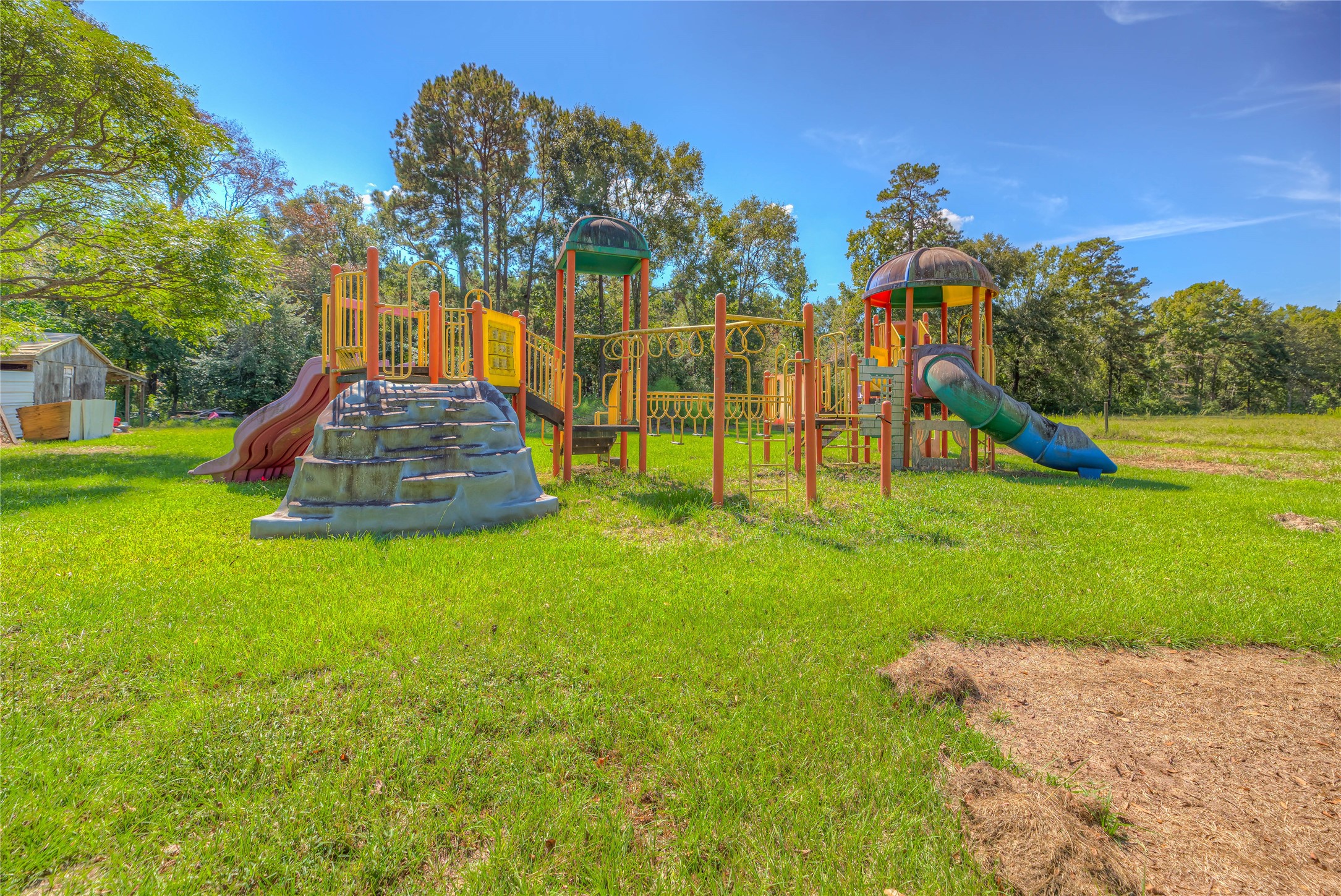 438 Bird Road Livingston, TX 77351 - Photo 24 of 37 a view of a garden with a slide