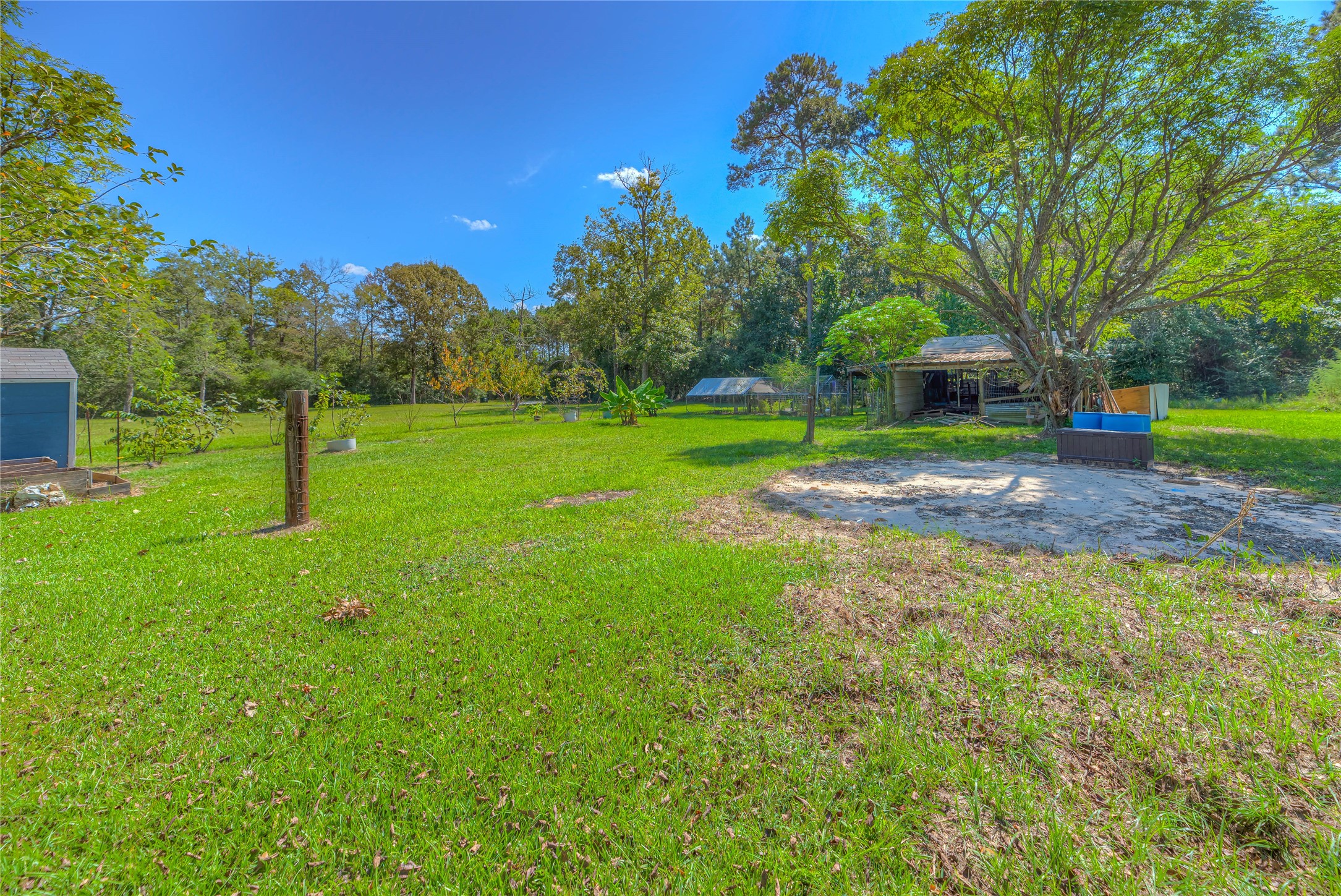 438 Bird Road Livingston, TX 77351 - Photo 25 of 37 a view of a park with large trees