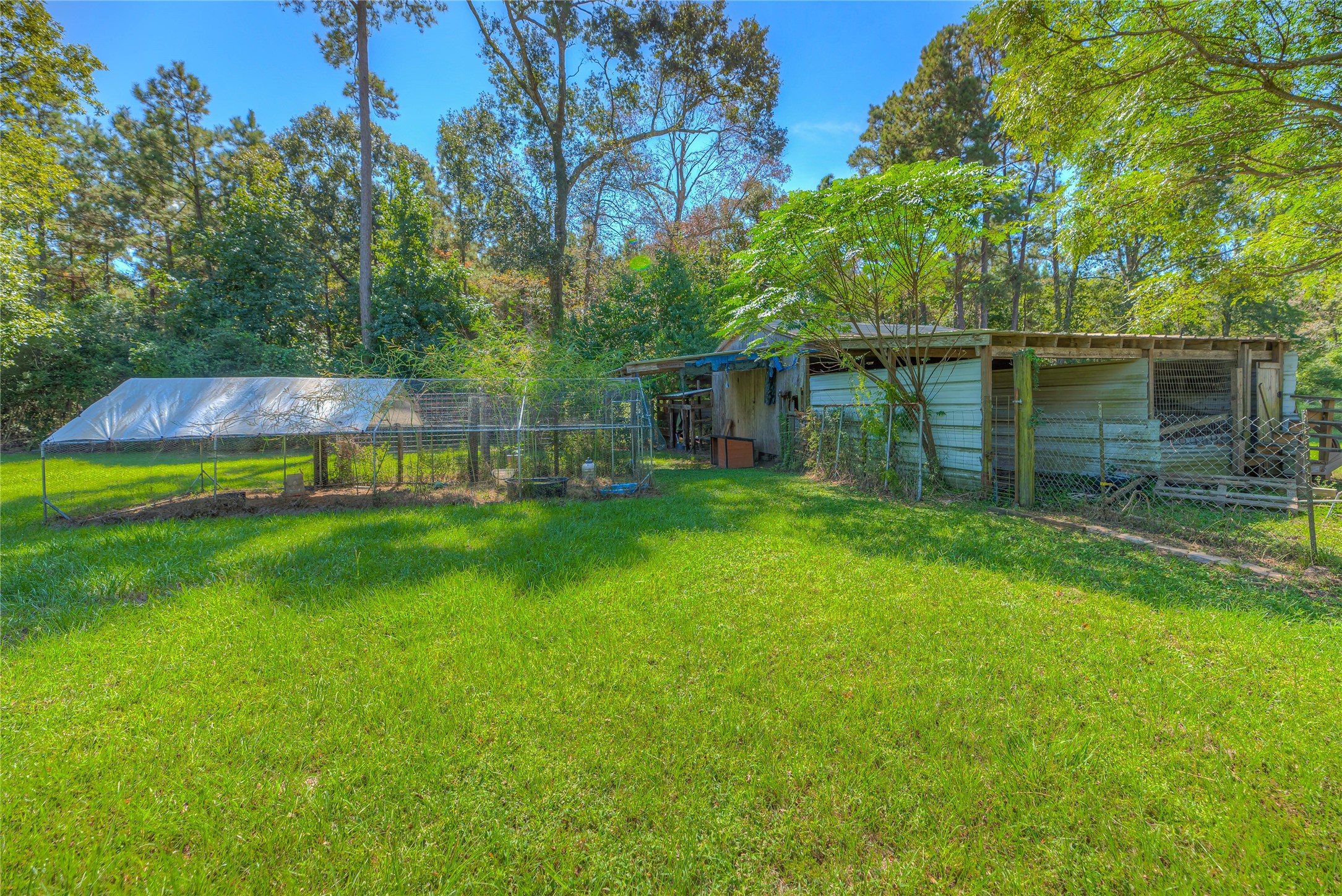 438 Bird Road Livingston, TX 77351 - Photo 28 of 37 a view of yard with swimming pool and green space