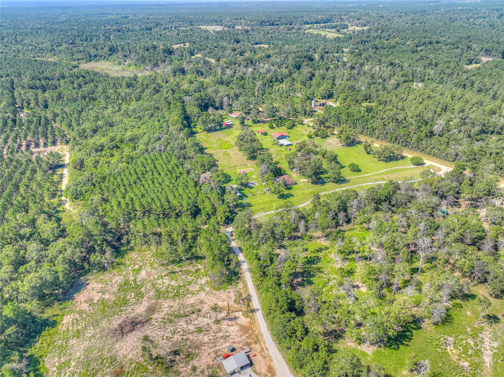 438 Bird Road Livingston, TX 77351 - Photo 32 of 37 a view of a forest with an outdoor space