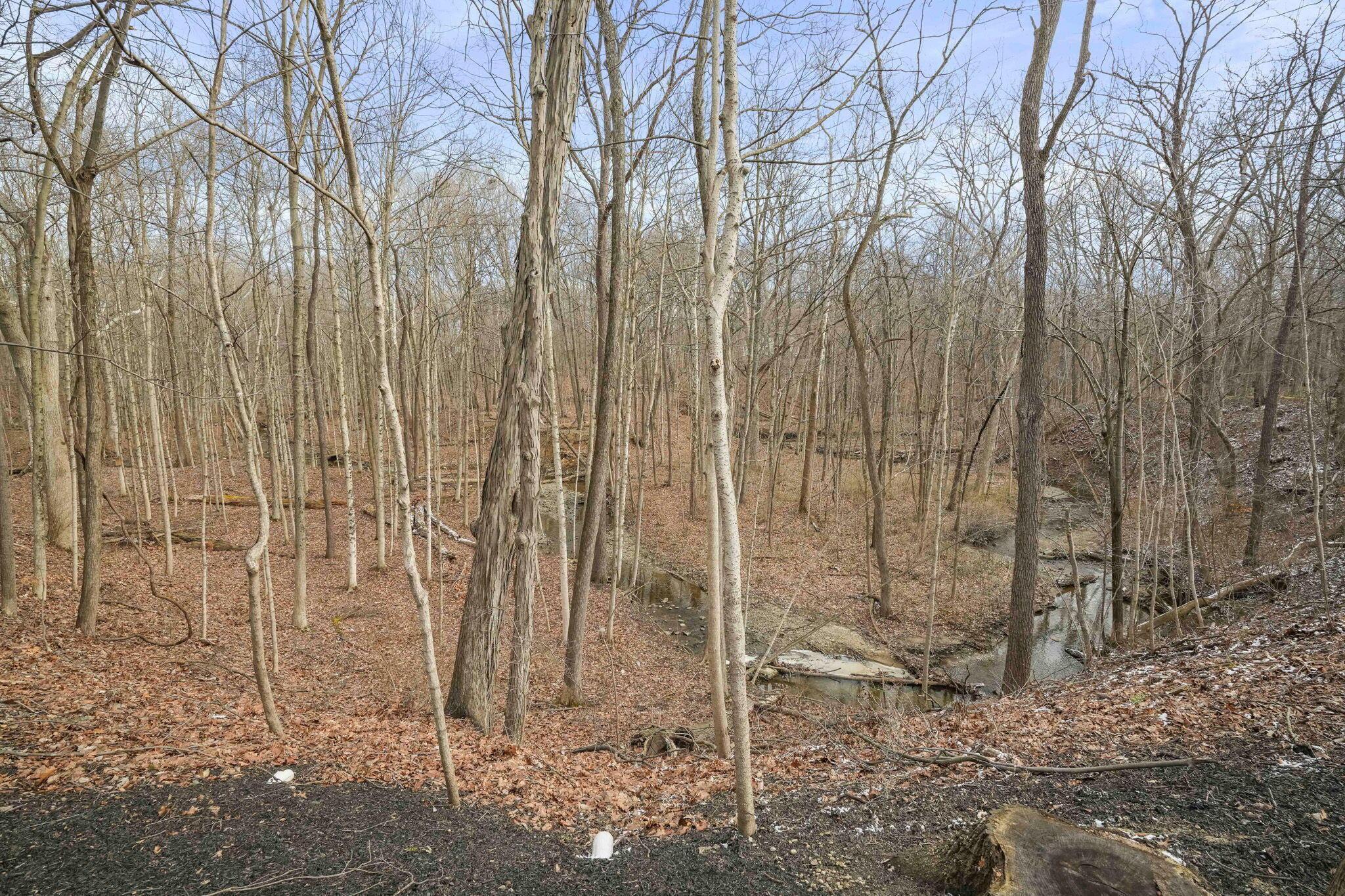 450 Shale Ridge Court Powell, OH 43065 - Photo 63 of 63 66-web-or-mls-DSC07127