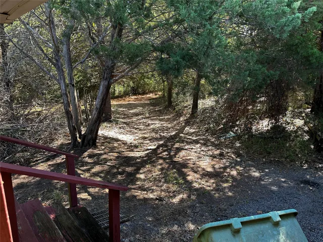 a view of a tree in a yard