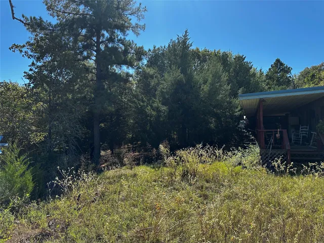 a view of outdoor space and yard