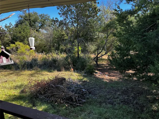 a view of a yard with plants and a large tree