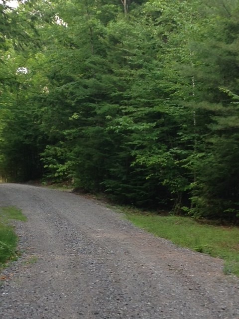 44 Maple Ridge Road Meredith, NH 03253 - Photo 4 of 14