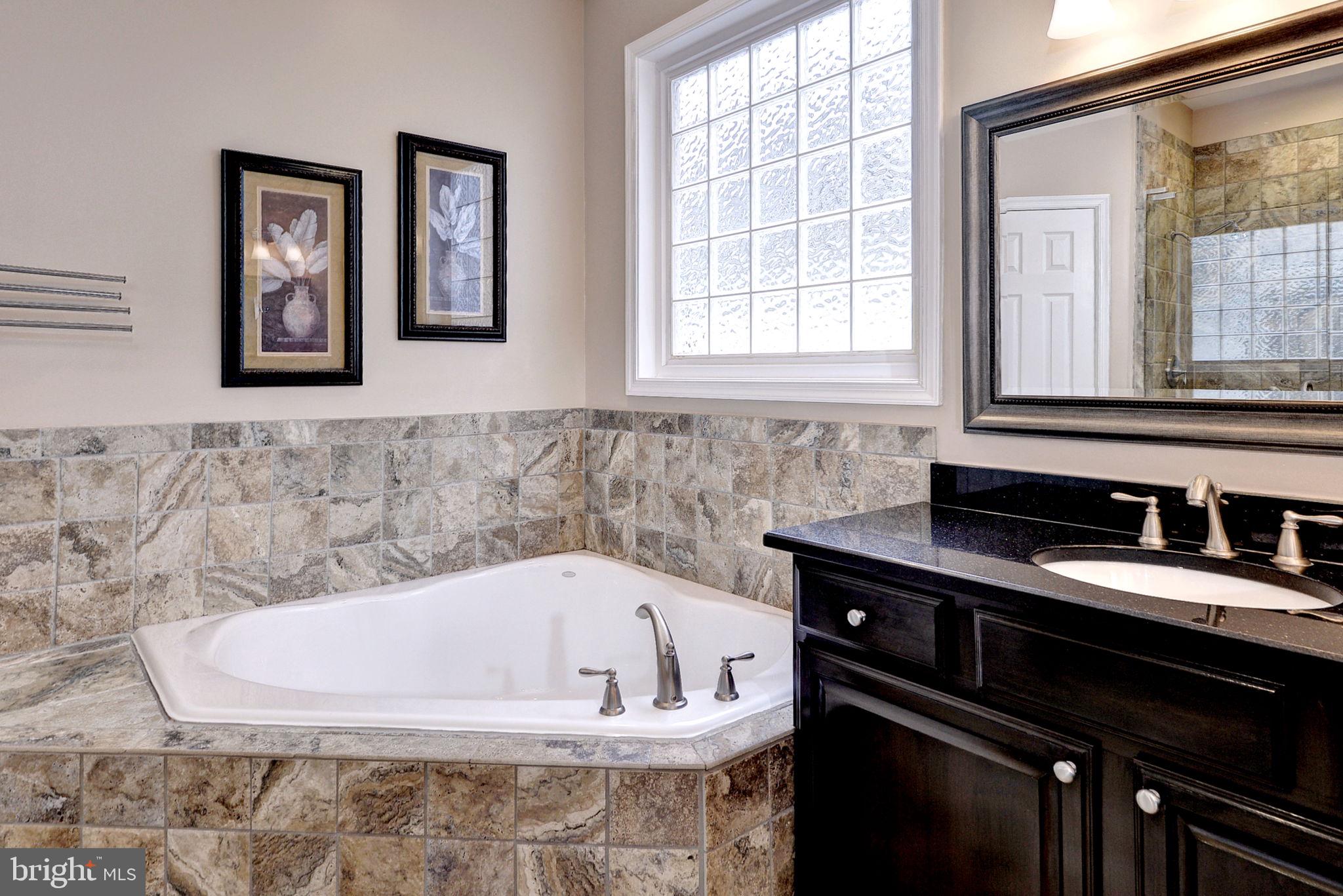 7100 Pinebrook Road Williamsburg, VA 23188 - Photo 39 of 86 a bathroom with a bathtub and a sink