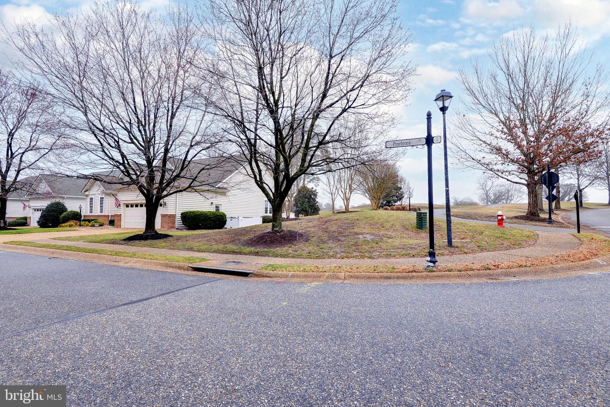 7100 Pinebrook Road Williamsburg, VA 23188 - Photo 6 of 86 a view of road with large trees