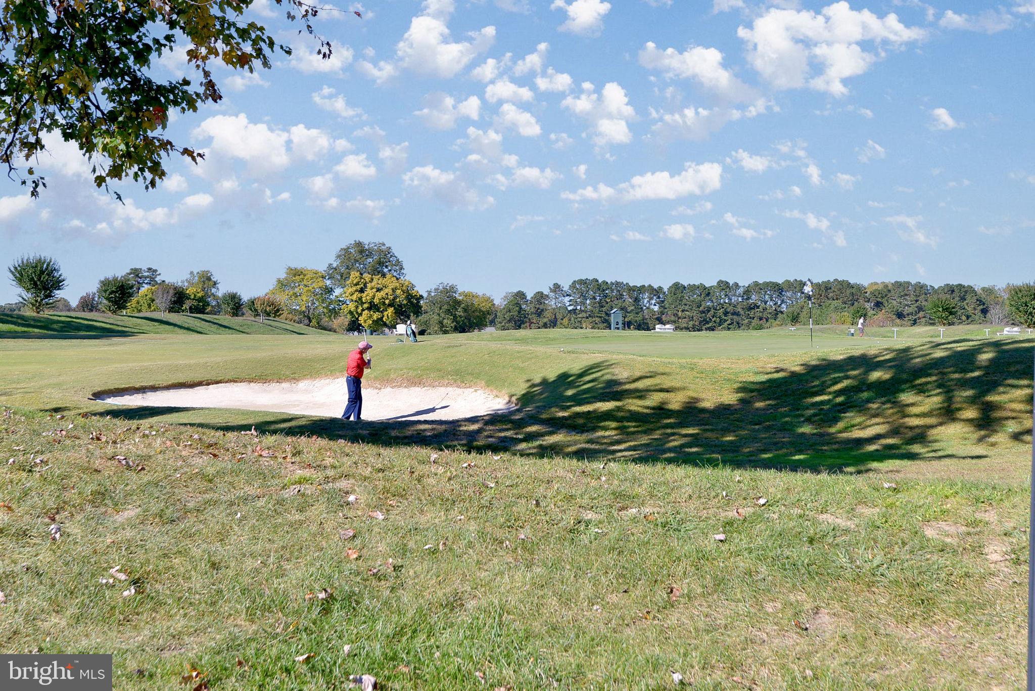 7100 Pinebrook Road Williamsburg, VA 23188 - Photo 86 of 86 a view of a lake in between the house and trees