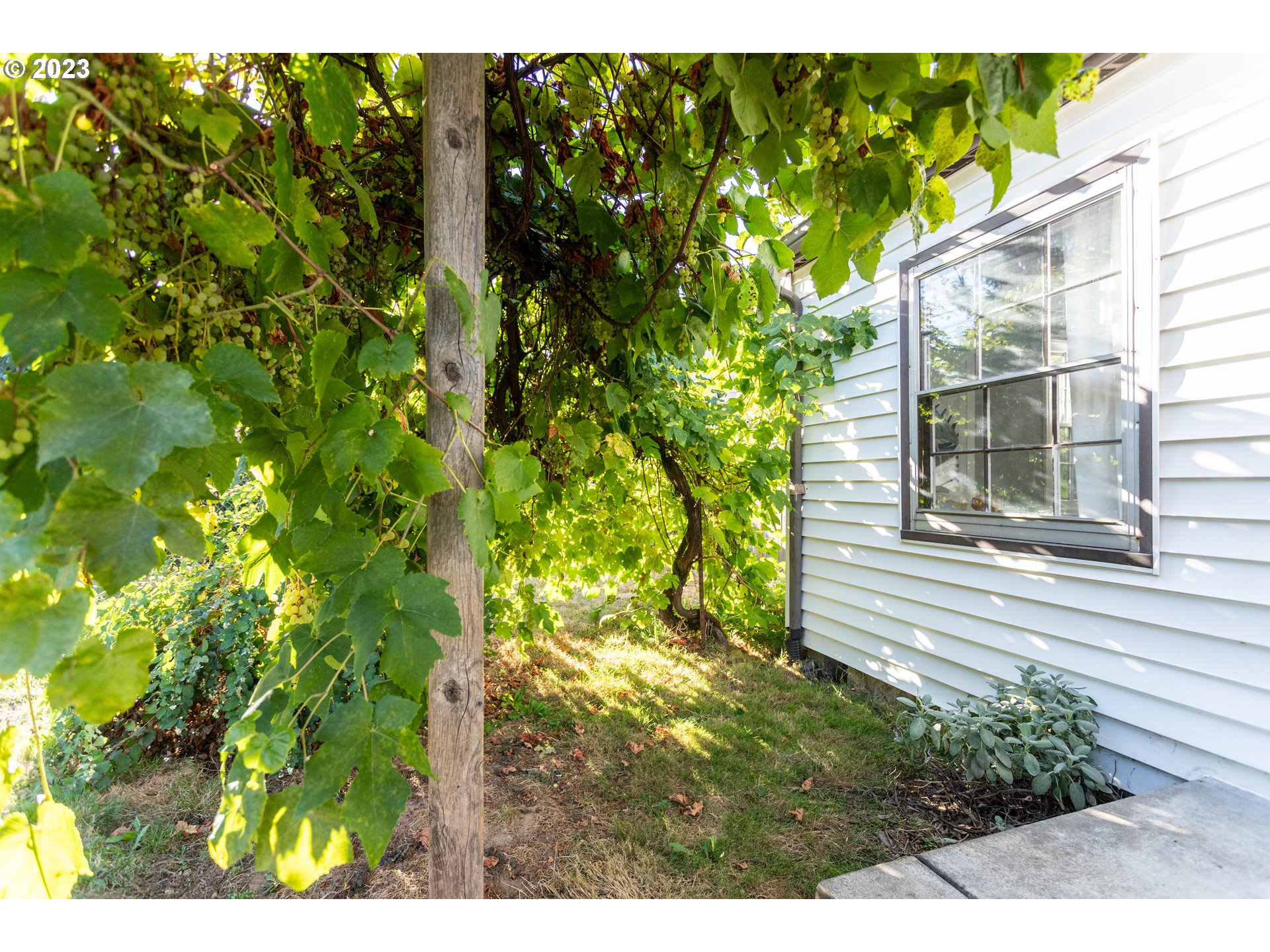 8963 Northeast Emerson Street Portland, OR 97220 - Photo 10 of 35