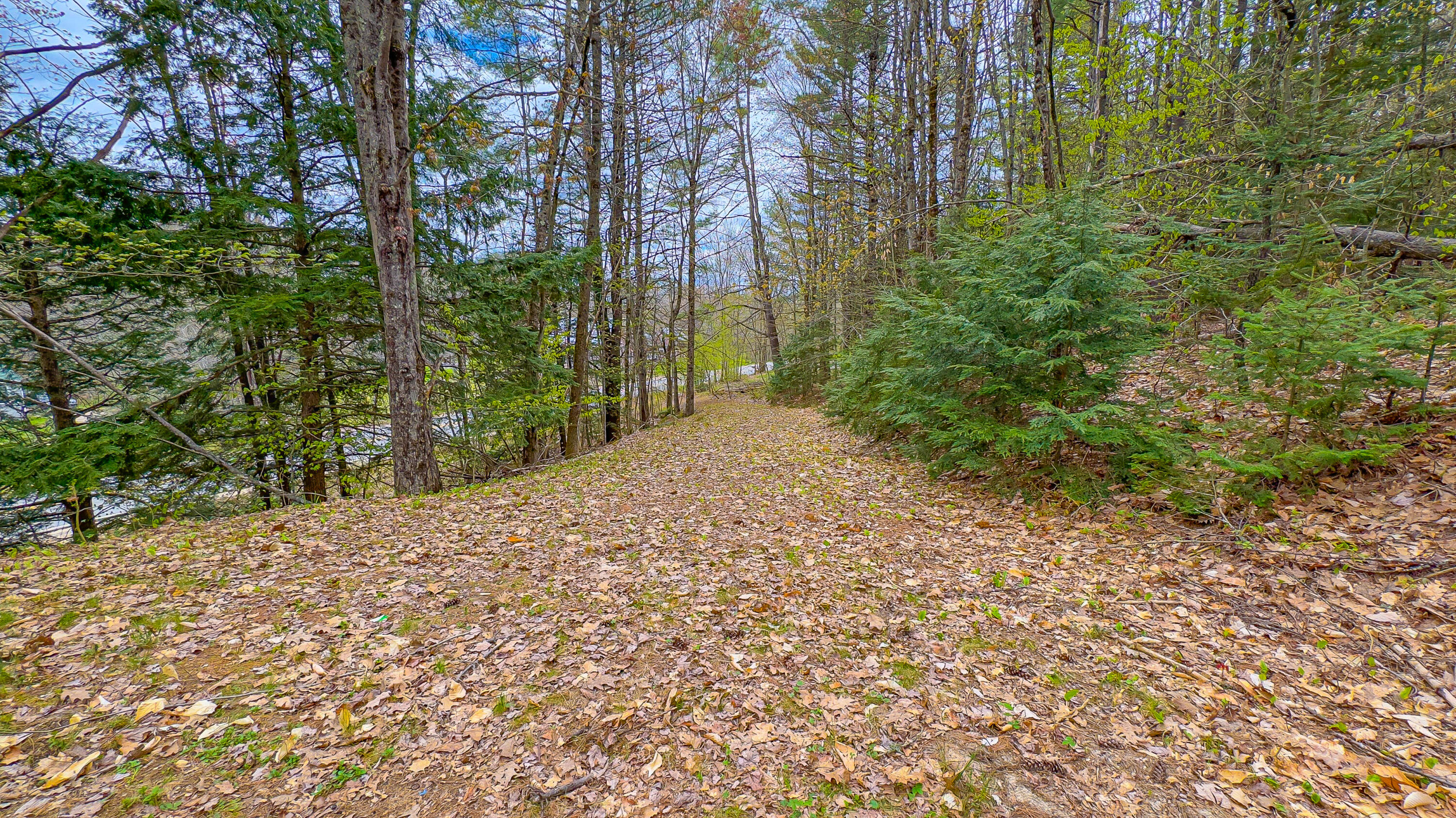 180 Bolsters Mills Road Otisfield, ME 04270 - Photo 20 of 24 180 Bolster Mills Road-39