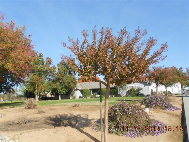 14367 Brookhill Road Madera, CA 93636 - Photo 4 of 23 Gallery Image 4