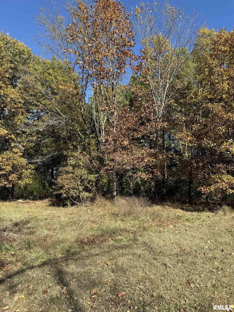 400-block Edgewood Road Salem, IL 62881 - Photo 13 of 72