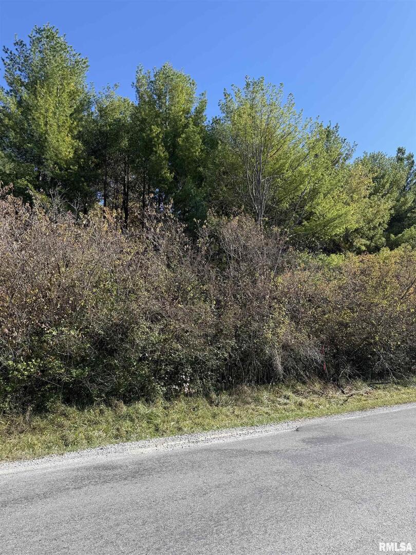 400-block Edgewood Road Salem, IL 62881 - Photo 14 of 72