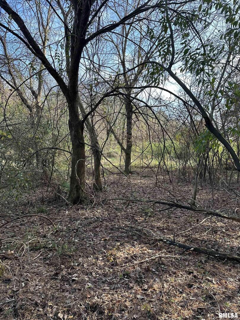 400-block Edgewood Road Salem, IL 62881 - Photo 19 of 72