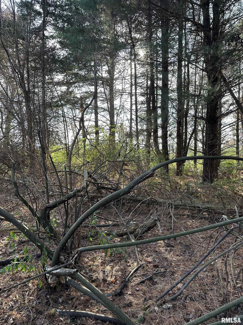 400-block Edgewood Road Salem, IL 62881 - Photo 20 of 72