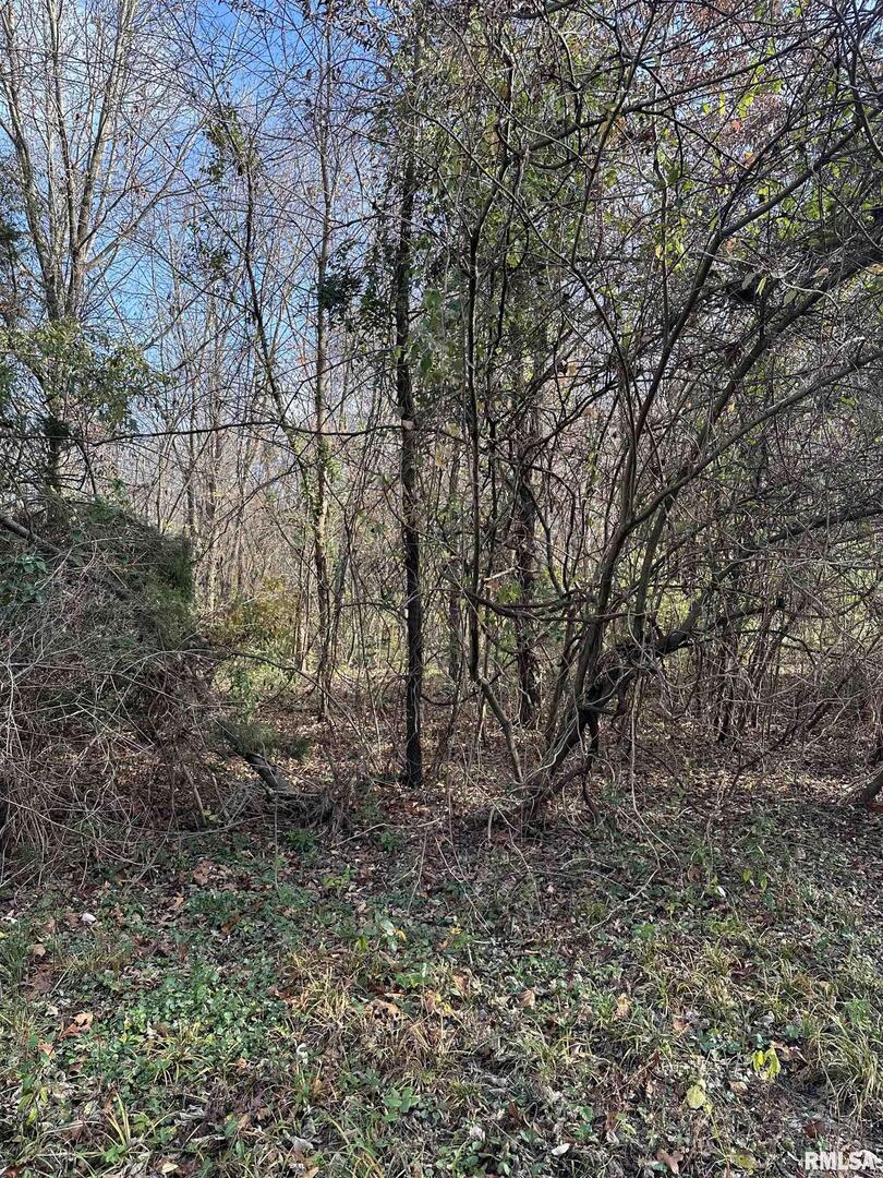 400-block Edgewood Road Salem, IL 62881 - Photo 21 of 72