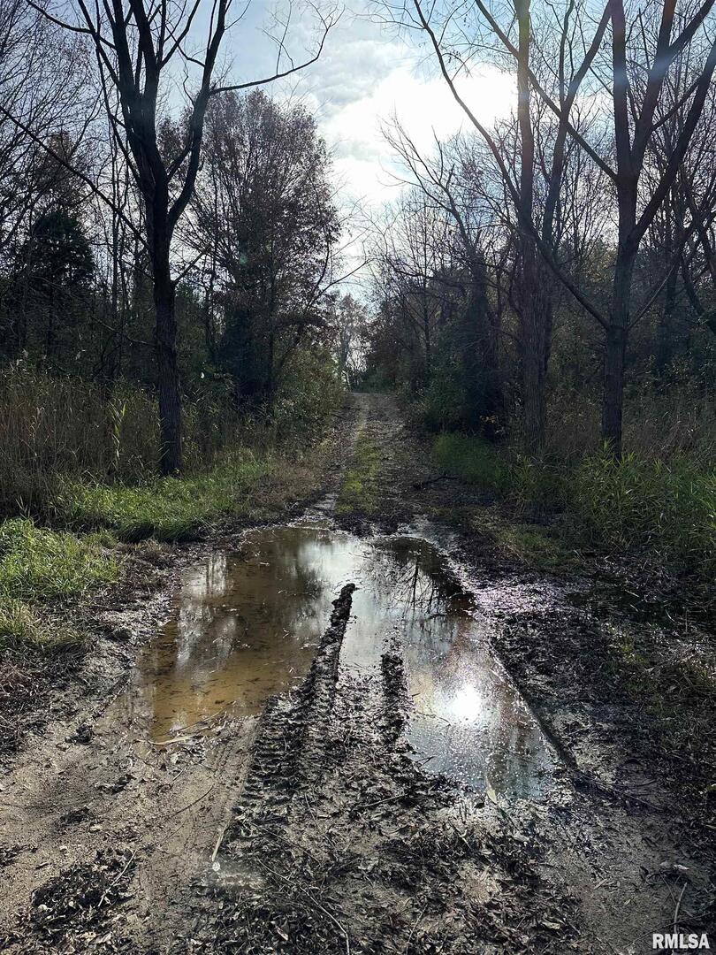 400-block Edgewood Road Salem, IL 62881 - Photo 24 of 72