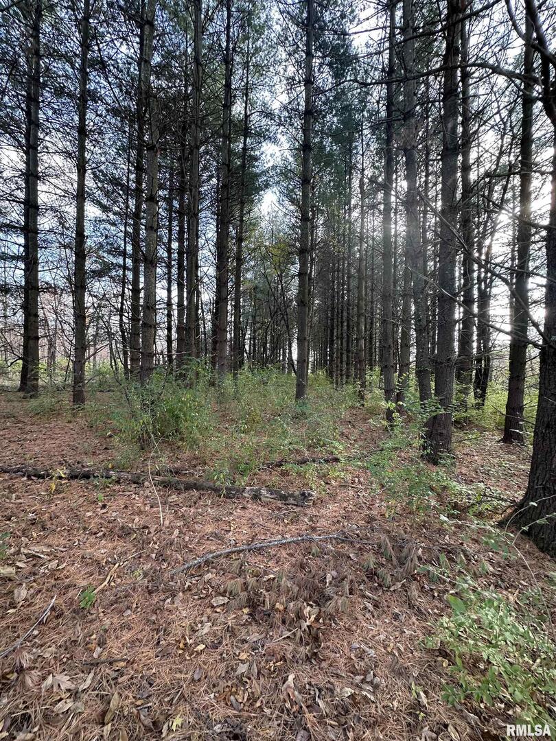 400-block Edgewood Road Salem, IL 62881 - Photo 30 of 72