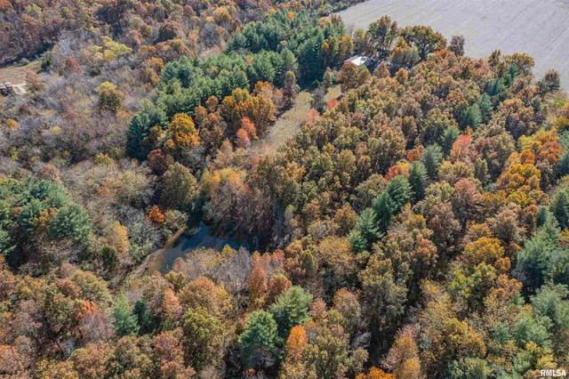 a view of a house with a lush green forest