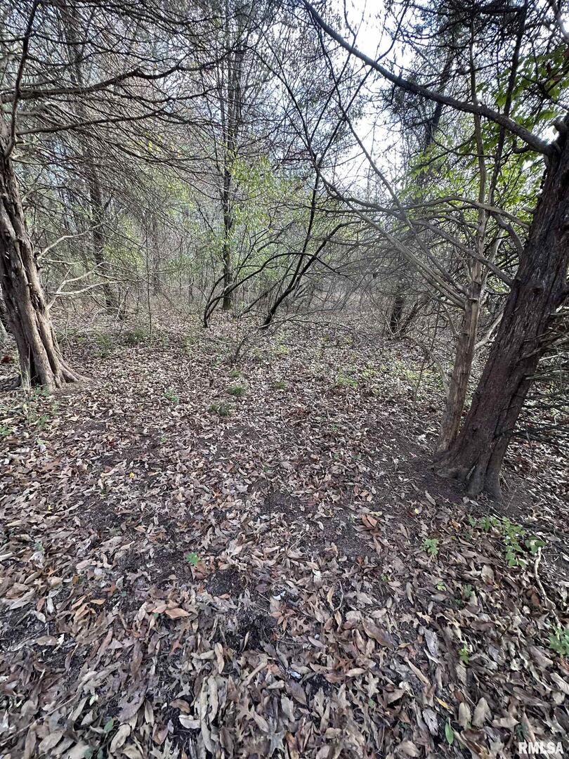 400-block Edgewood Road Salem, IL 62881 - Photo 32 of 72