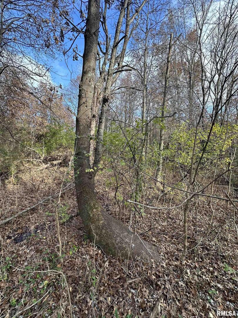 400-block Edgewood Road Salem, IL 62881 - Photo 38 of 72