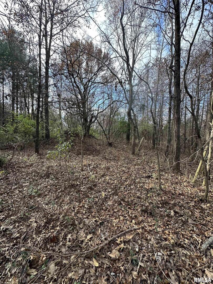 400-block Edgewood Road Salem, IL 62881 - Photo 41 of 72