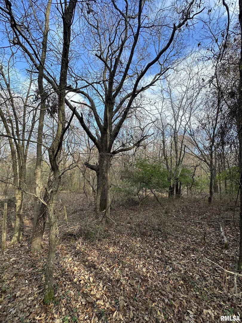 400-block Edgewood Road Salem, IL 62881 - Photo 42 of 72