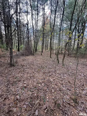a big yard with lots of green space