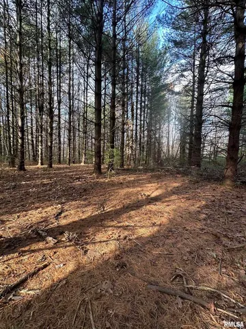 a view of outdoor space with trees