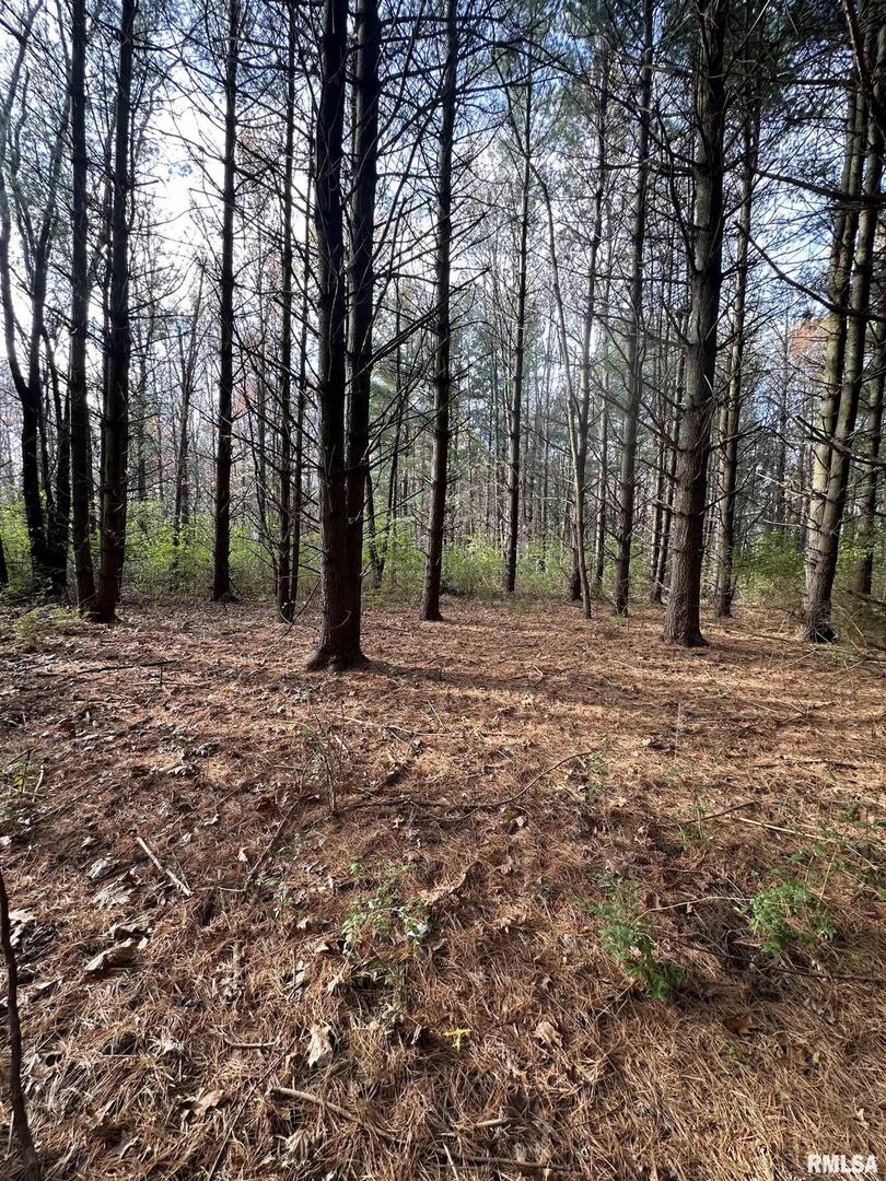 400-block Edgewood Road Salem, IL 62881 - Photo 49 of 72