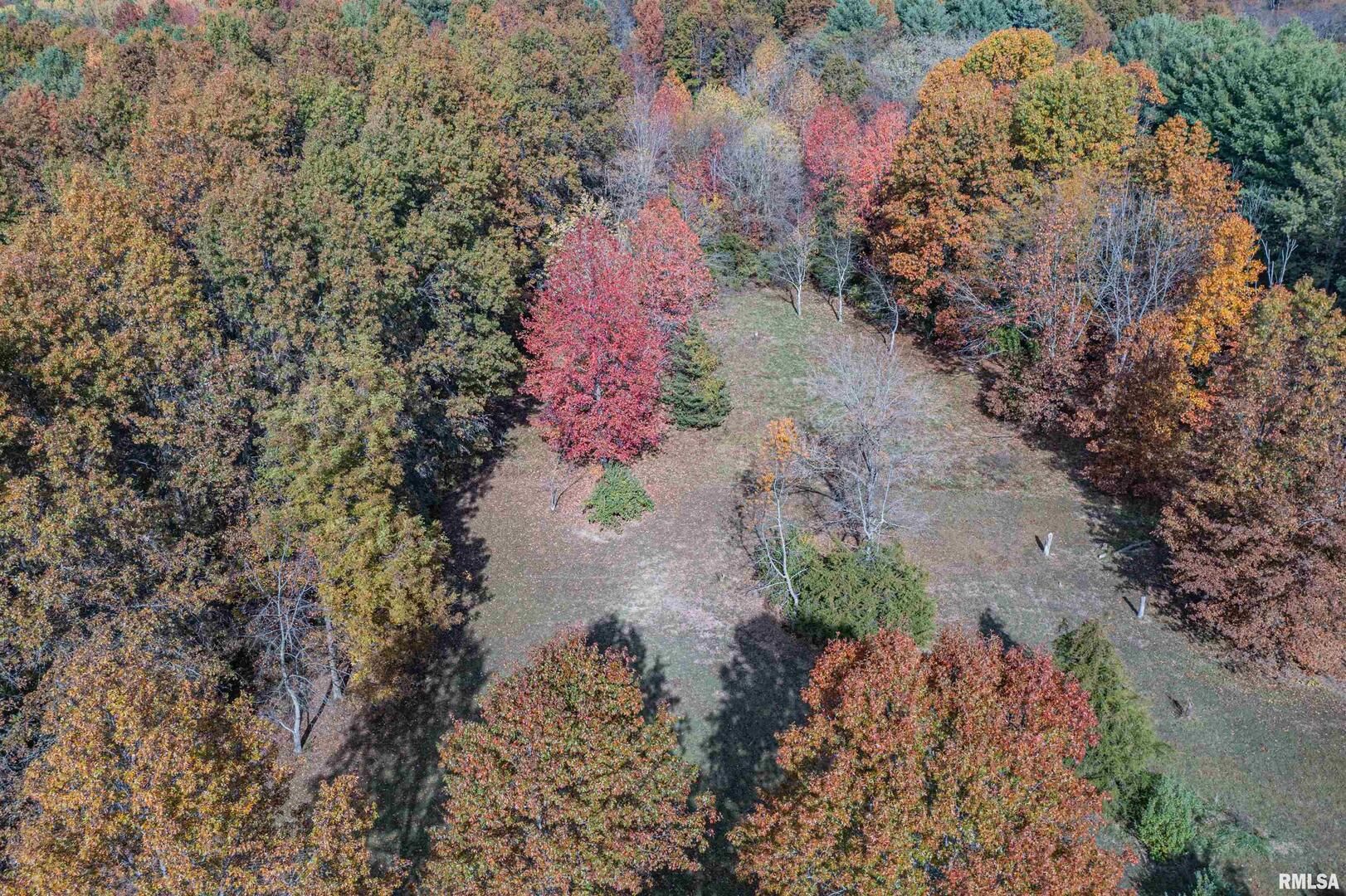 400-block Edgewood Road Salem, IL 62881 - Photo 5 of 72