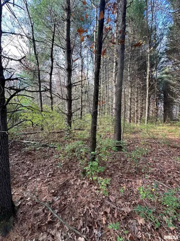 $199,900 | 400-block Edgewood Road, Salem, IL 62881