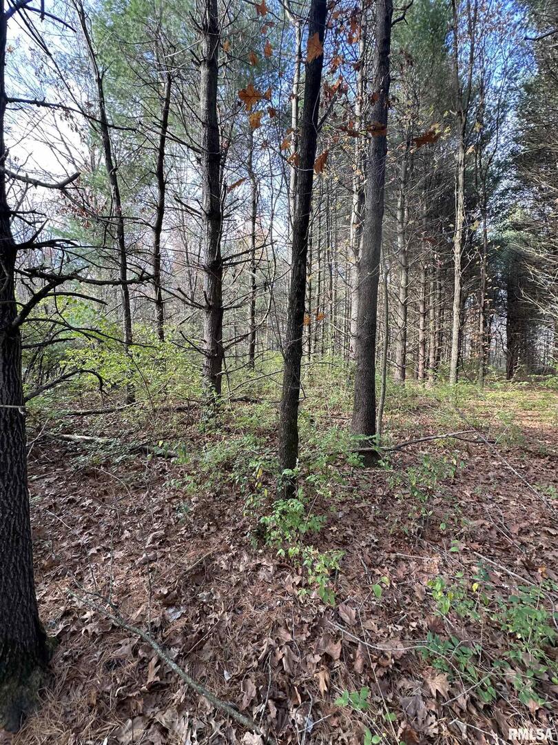 400-block Edgewood Road Salem, IL 62881 - Photo 51 of 72