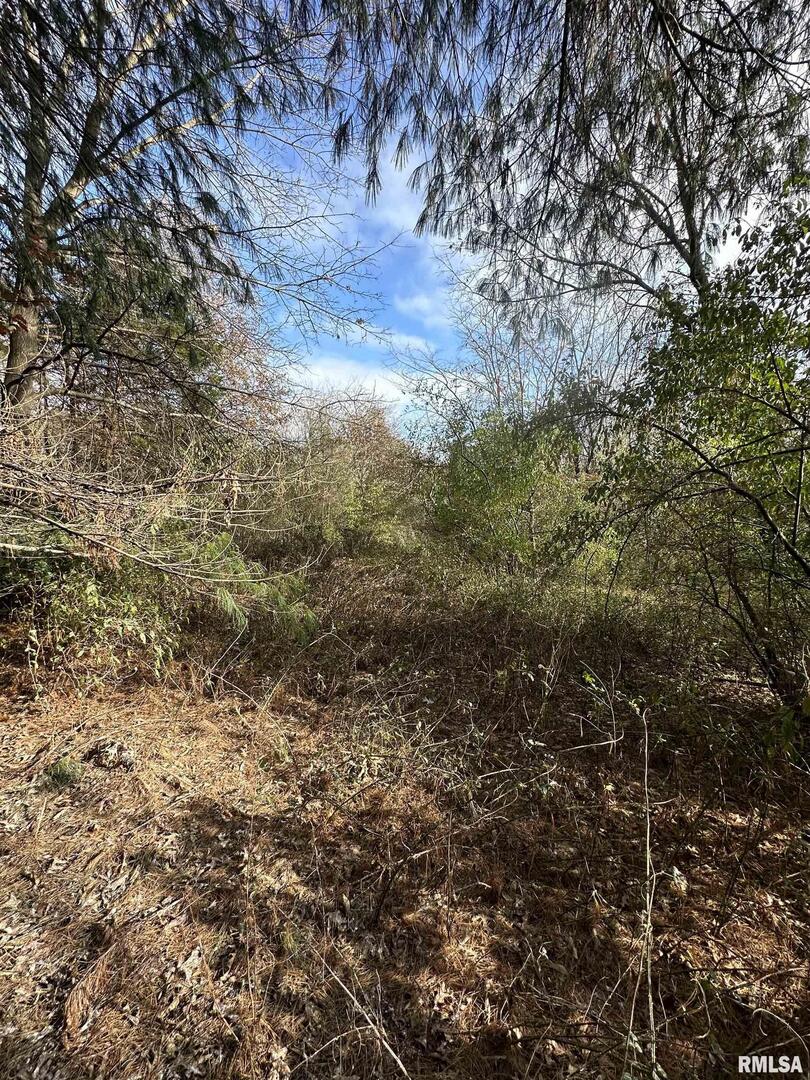 400-block Edgewood Road Salem, IL 62881 - Photo 53 of 72