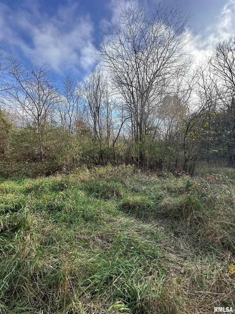 400-block Edgewood Road Salem, IL 62881 - Photo 57 of 72