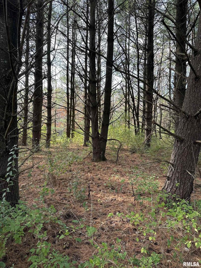 400-block Edgewood Road Salem, IL 62881 - Photo 63 of 72