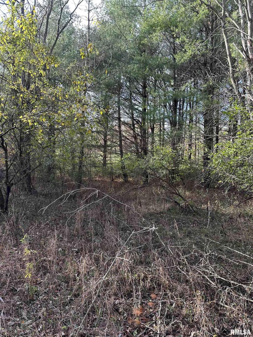 400-block Edgewood Road Salem, IL 62881 - Photo 65 of 72