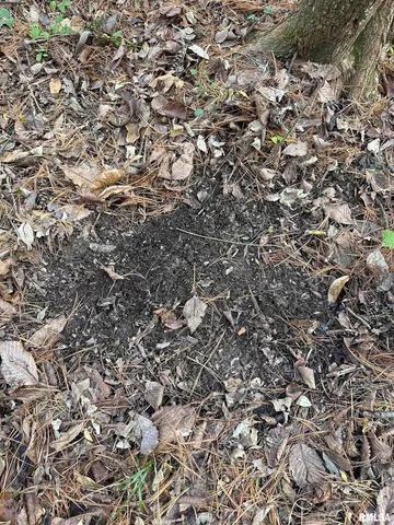 $199,900 | 400-block Edgewood Road, Salem, IL 62881