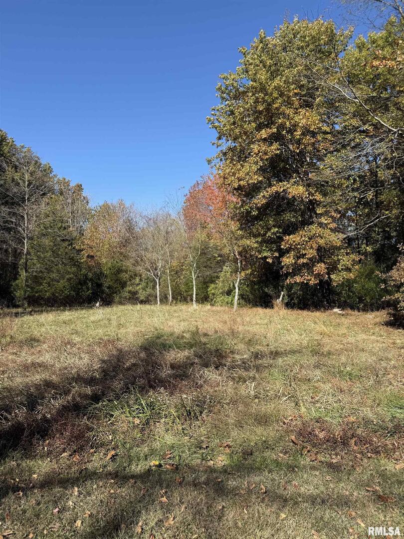 400-block Edgewood Road Salem, IL 62881 - Photo 68 of 72