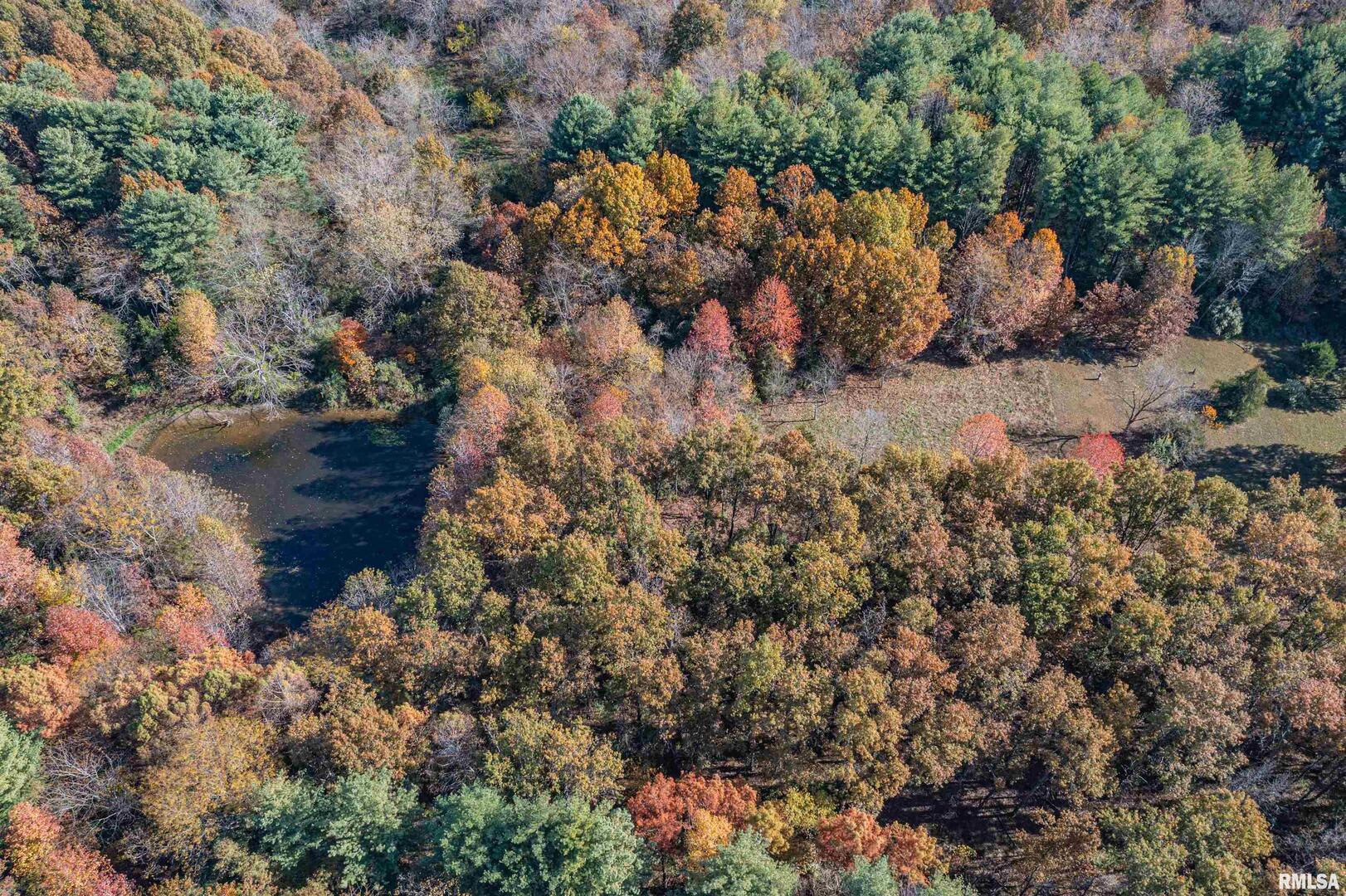 400-block Edgewood Road Salem, IL 62881 - Photo 7 of 72