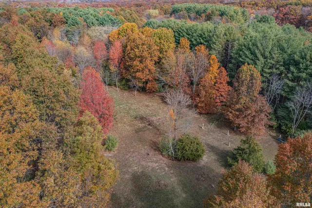 a view of a yard with a tree