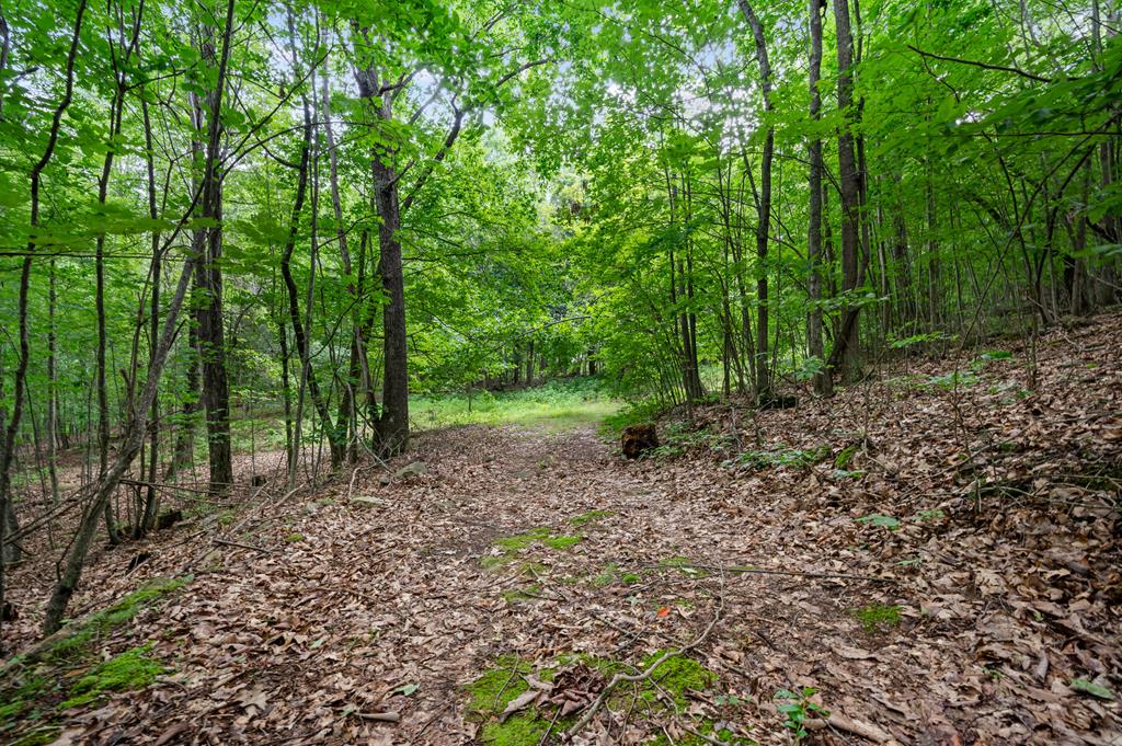 Lot G Springdale Road, Unit G Pearisburg, VA 24134 - Photo 12 of 62 Gallery Image 12
