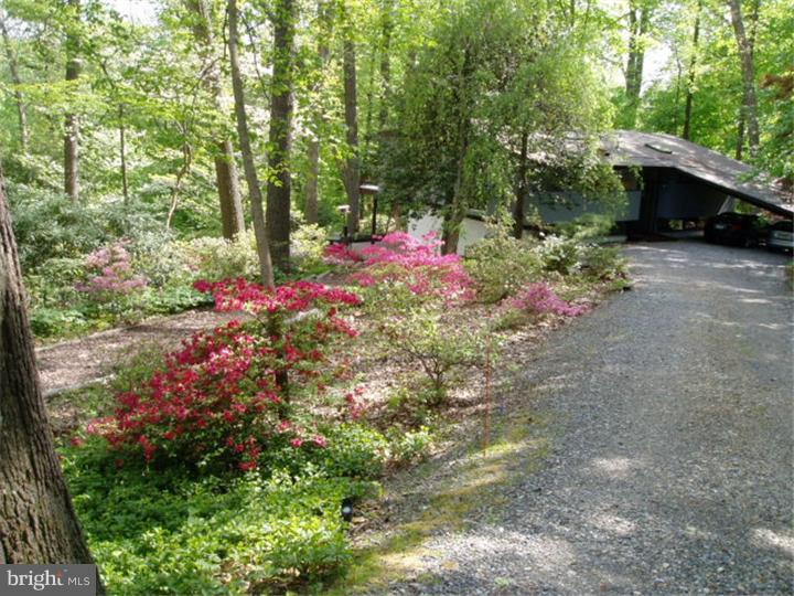 730 Limehouse Road Radnor, PA 19087 - Photo 2 of 25 Driveway