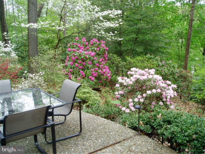 730 Limehouse Road Radnor, PA 19087 - Photo 21 of 25 Patio