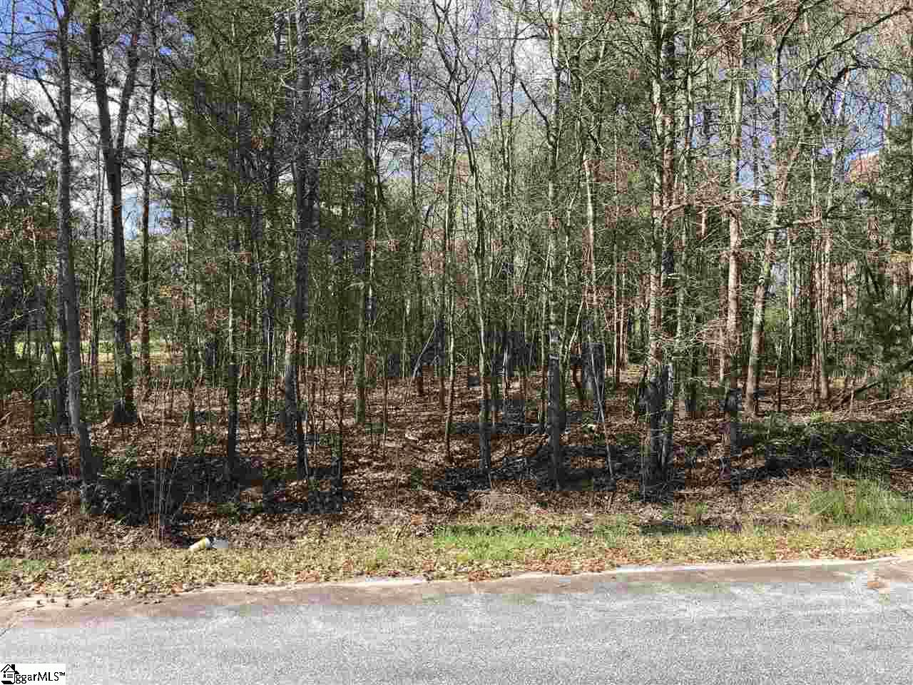 0 New Bethel Road Woodruff, SC 29388 - Photo 9 of 12 Gallery Image 9