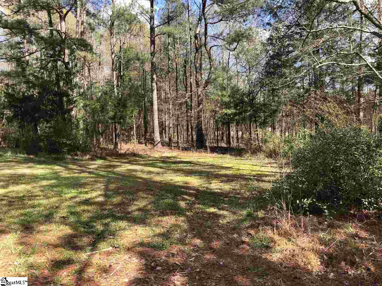 0 New Bethel Road Woodruff, SC 29388 - Photo 10 of 12 Gallery Image 10